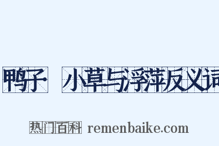 鸭子·小草与浮萍反义词是什么意思的图片